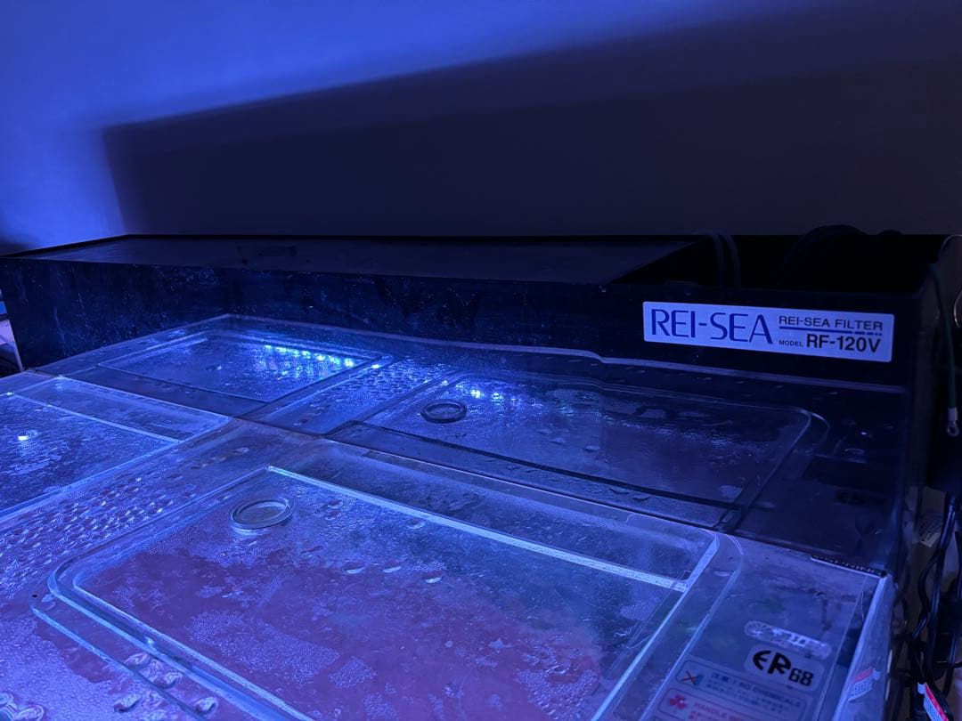 shunpi　水槽　水槽セット　1200 600 h500 神奈川　手渡し