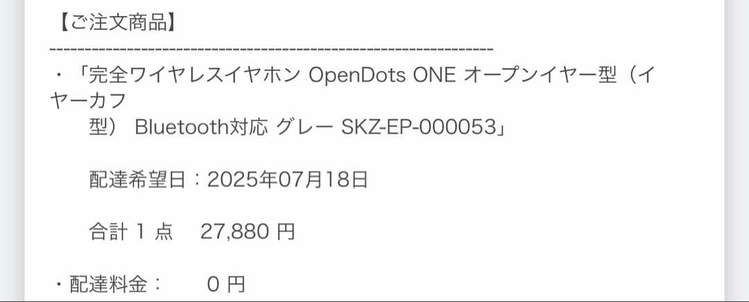 Shokzワイヤレスイヤフォン グレー