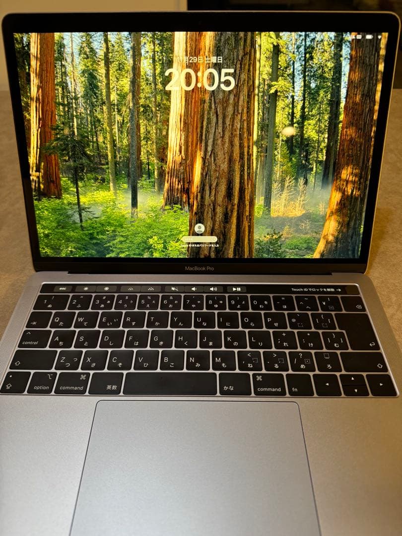 MacBook Pro 13インチ, 2019, 16GB,256GB SSD
