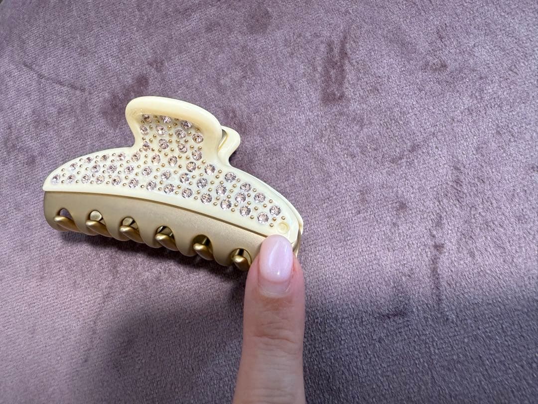 アレクサンドルドゥパリ★ヘアクリップ