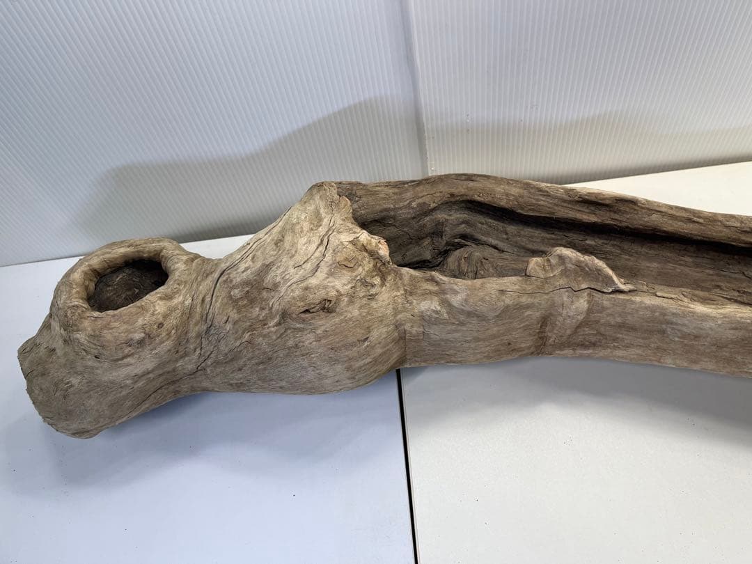 V3 特大流木 アク抜き済み流木 爬虫類シェルター 登り木 インテリア 生け花