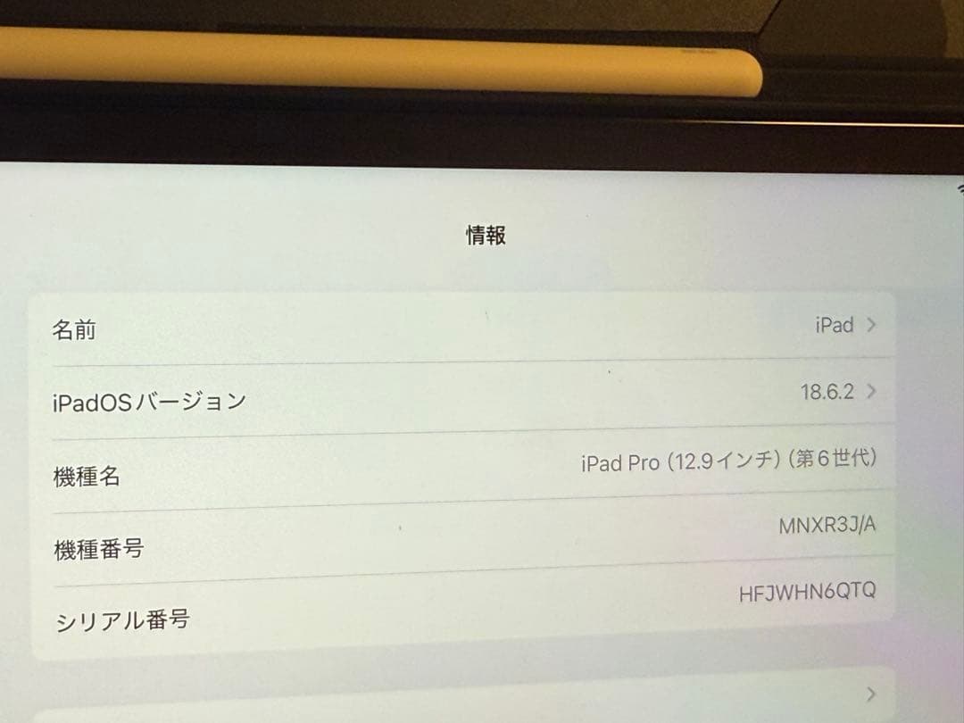 iPad Pro 12.9インチ 第6世代 256GB Wi-Fiモデル