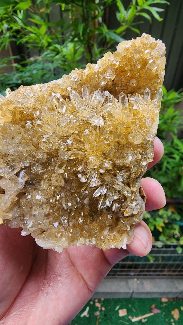 天然鉱石 結晶 透明感のある黄色フラワークォーツクラスター