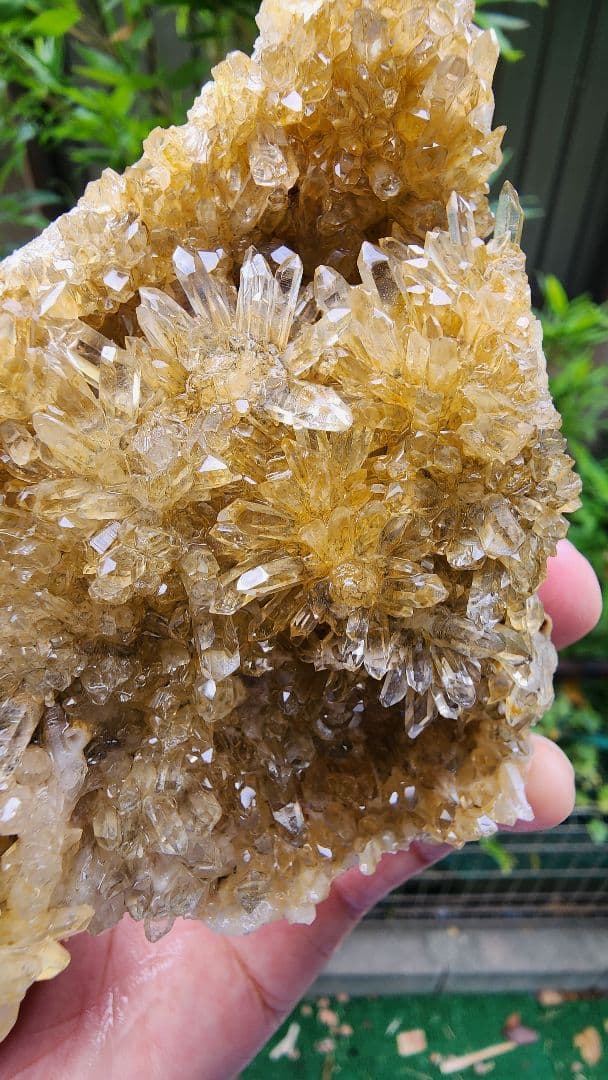 天然鉱石 結晶 透明感のある黄色フラワークォーツクラスター