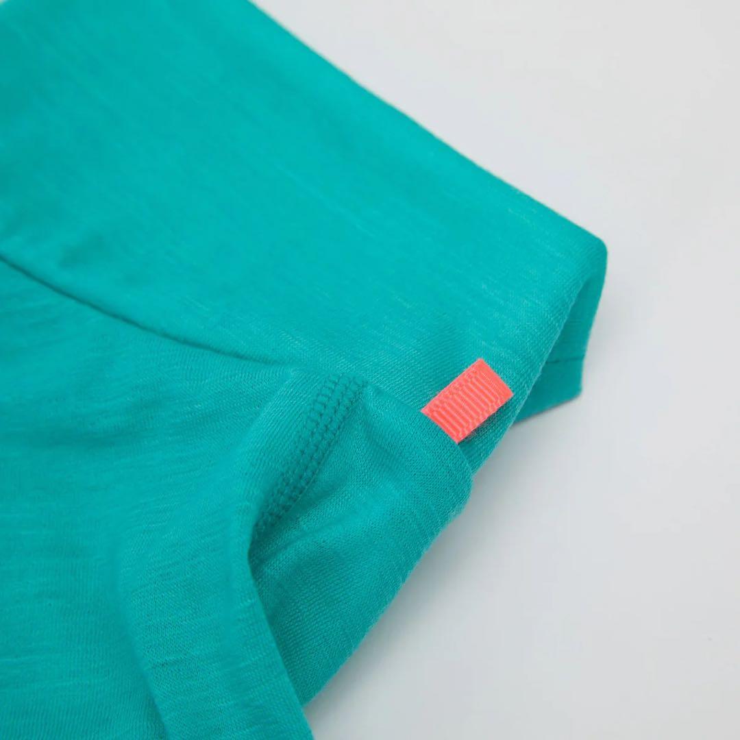 2025 アルファアイコン ドッグガードベース SMサイズ