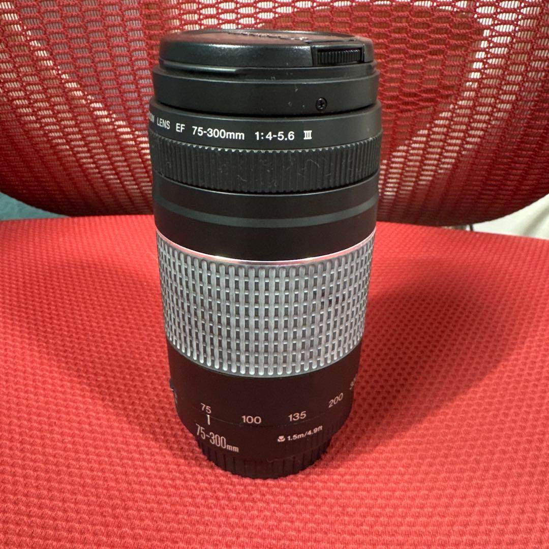 【美品】Canon EF 75-300mm F4-5.6 III 望遠ズーム