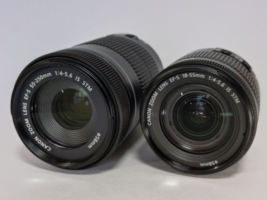 Canon EF-S55-250mmSTM& EF-S18-55mmSTMセット