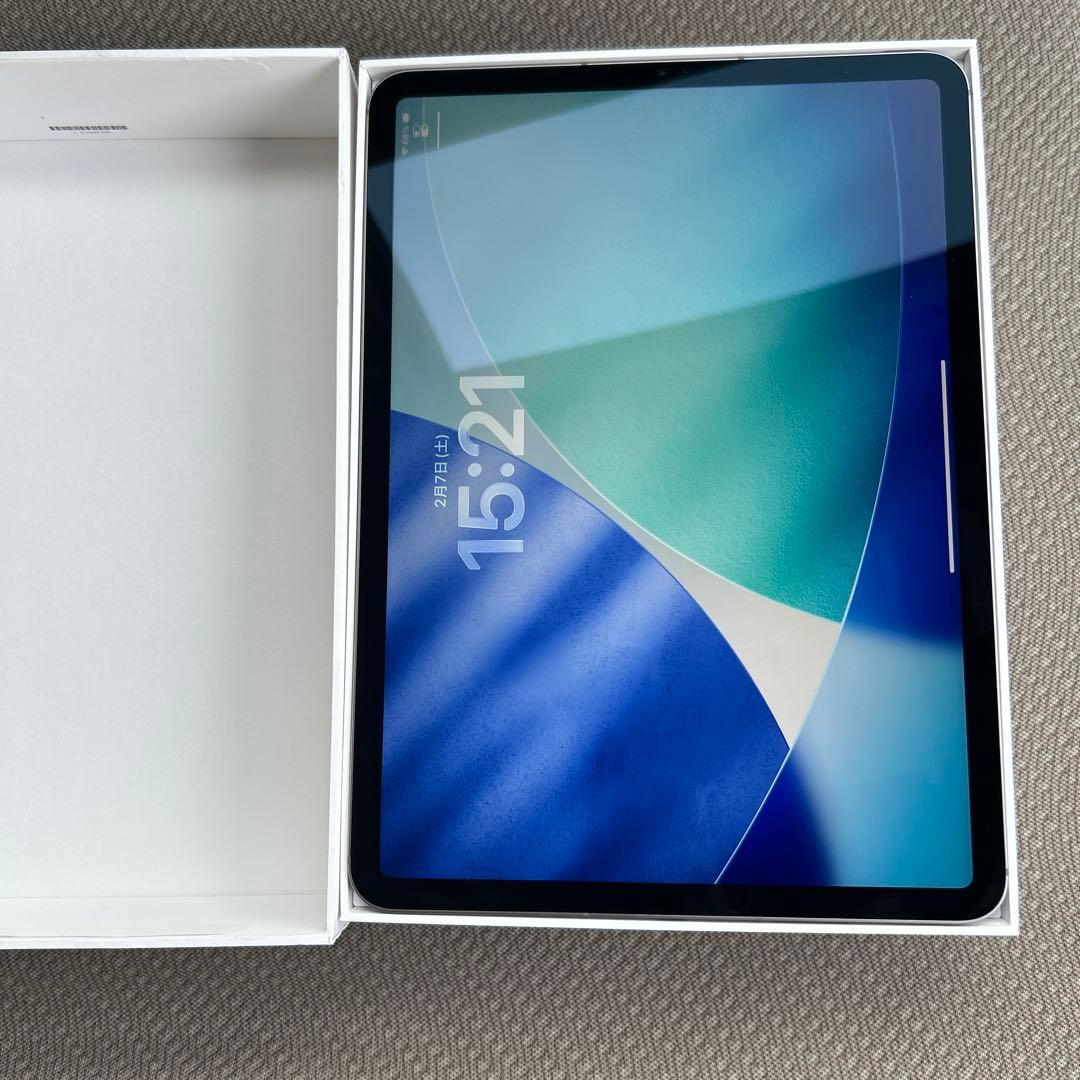 iPad Pro11インチ 第4世代 256GB セルラー スペースグレー 美品