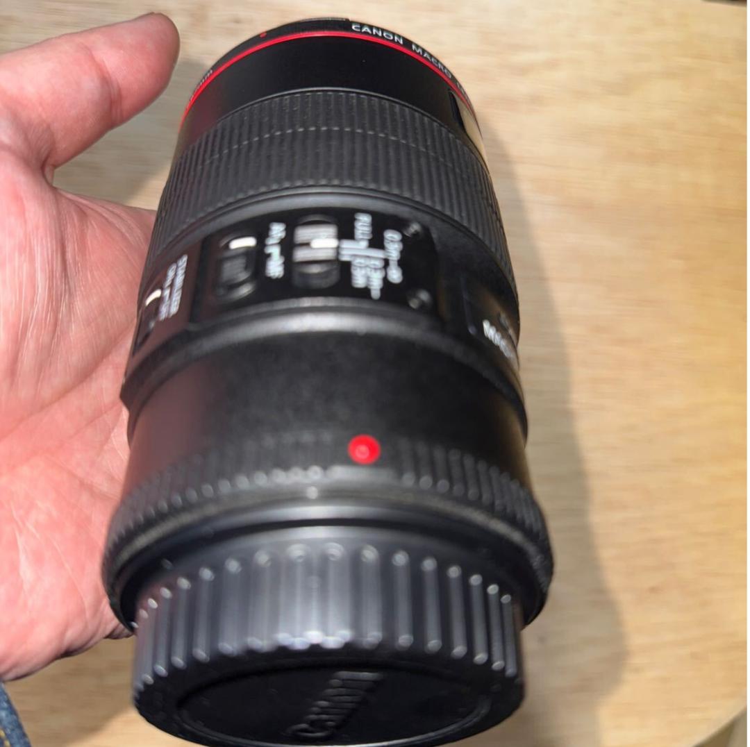 極上Canon EF100mm F2.8L マクロ IS USM MACRO