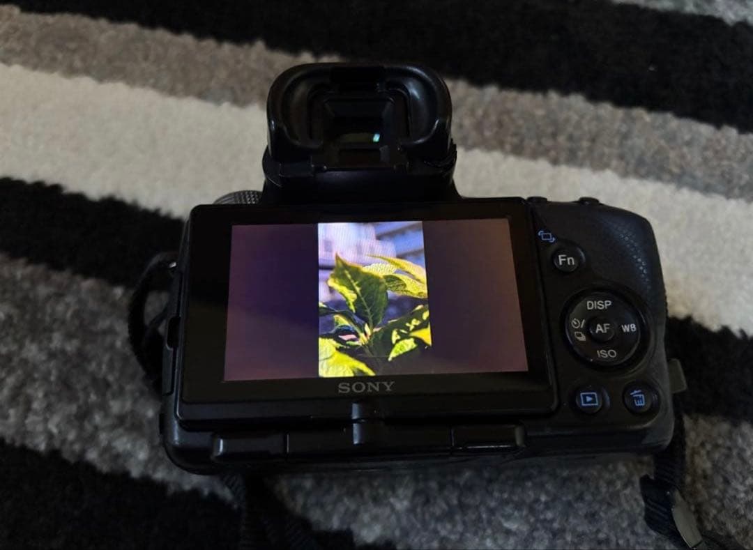 ❤️最終値下げ！バッテリー2個付き！❤️SONYα55ダブルレンズセット早い者勝ち❗️