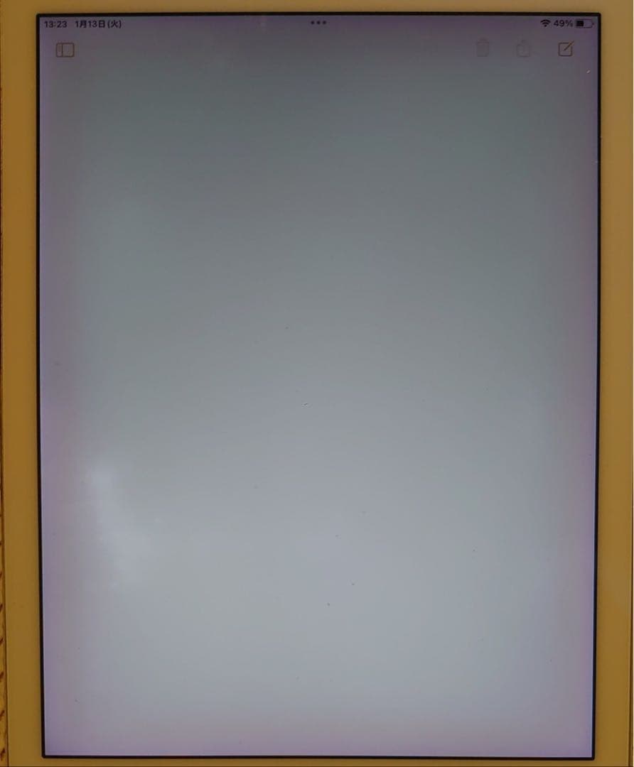 3NXH1完動品iPad Pro9.7インチ(A1673)本体32GB送料込