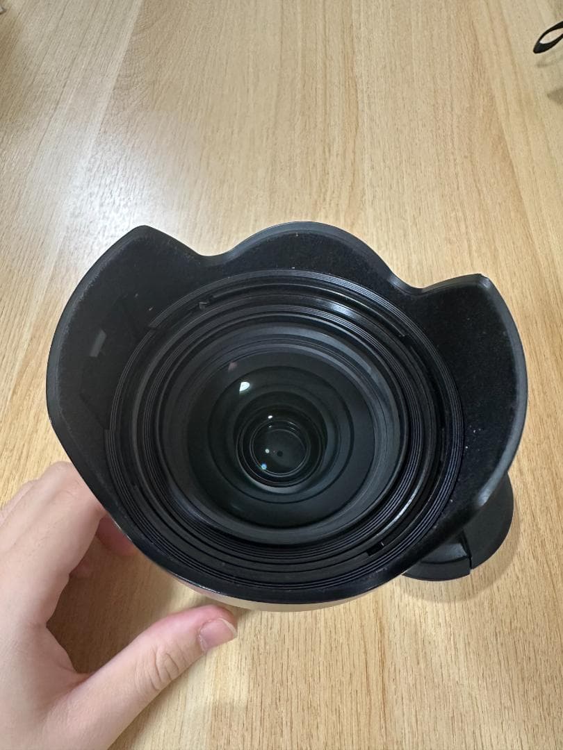 Sony FE 2.8/24-70 GM II レンズ