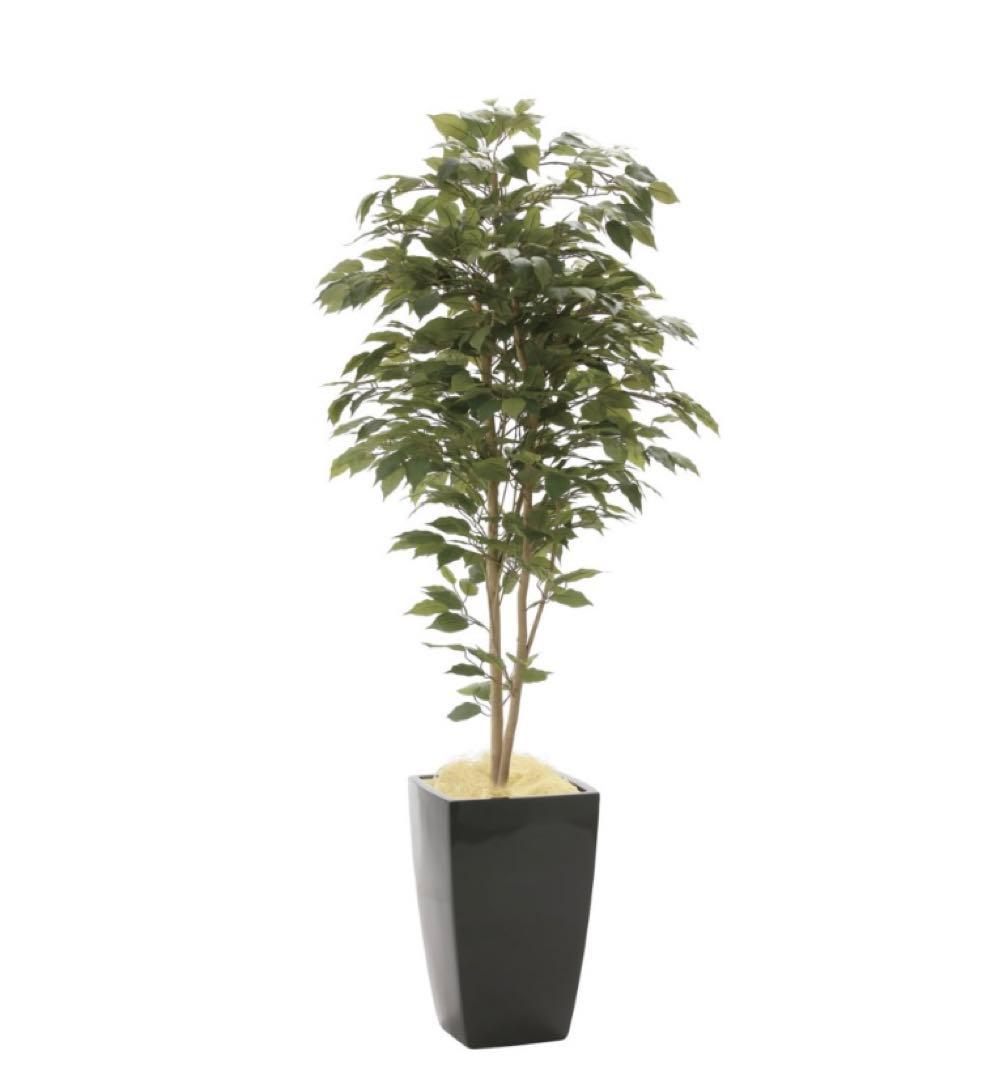 光触媒　人工観葉植物　フェイクグリーン　アーバンベンジャミン1.8