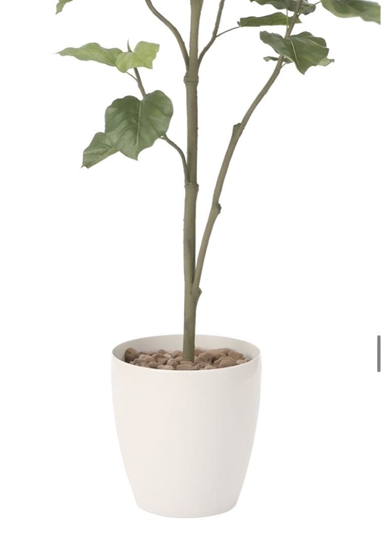 光触媒　人工観葉植物　フェイクグリーン　ウンベラータツリー1.8gp
