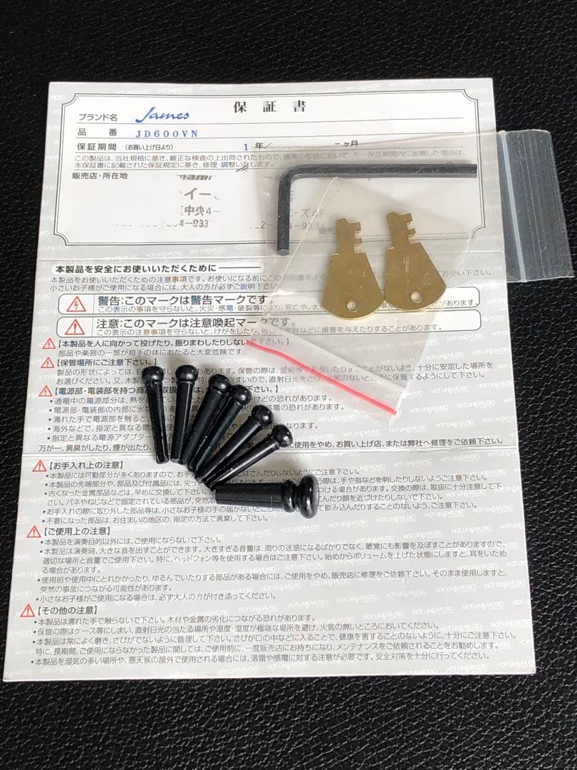 ジェームスJD600VNアコースティックギターハードケース付き