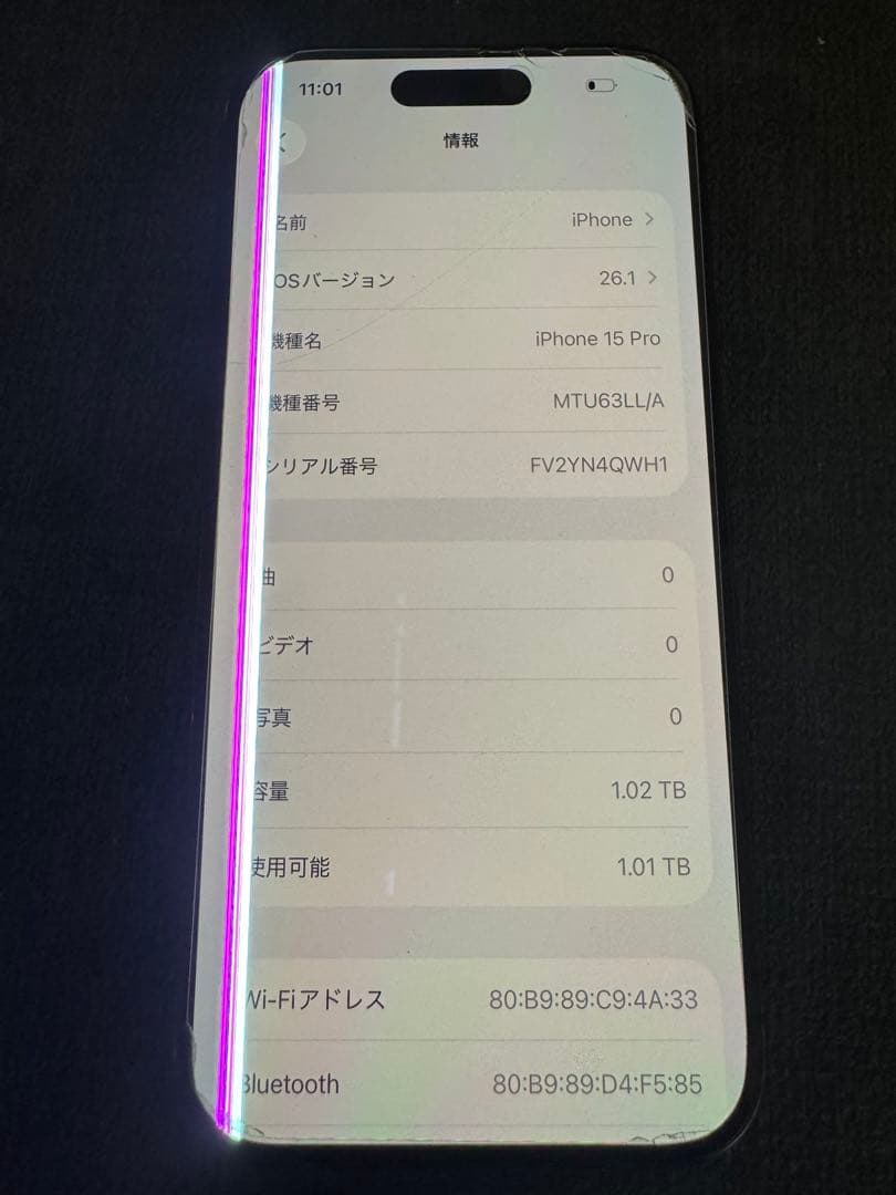 海外版　iPhone15 Pro 1TB ジャンク