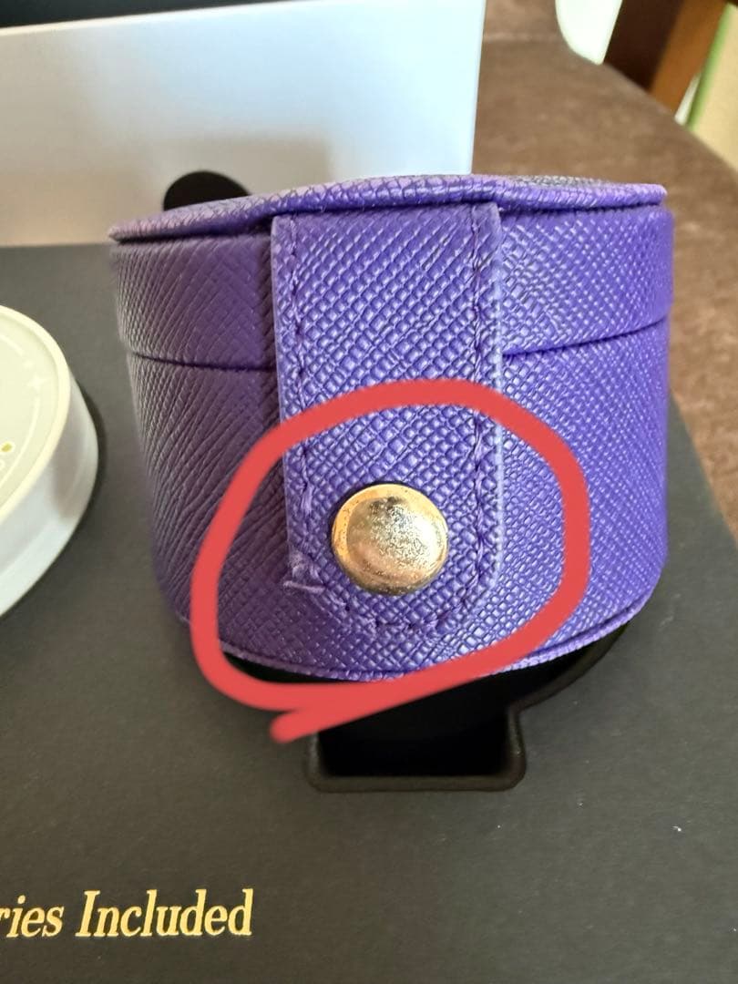 Robin’s Earphones (崩壊：スターレイル) コラボモデル