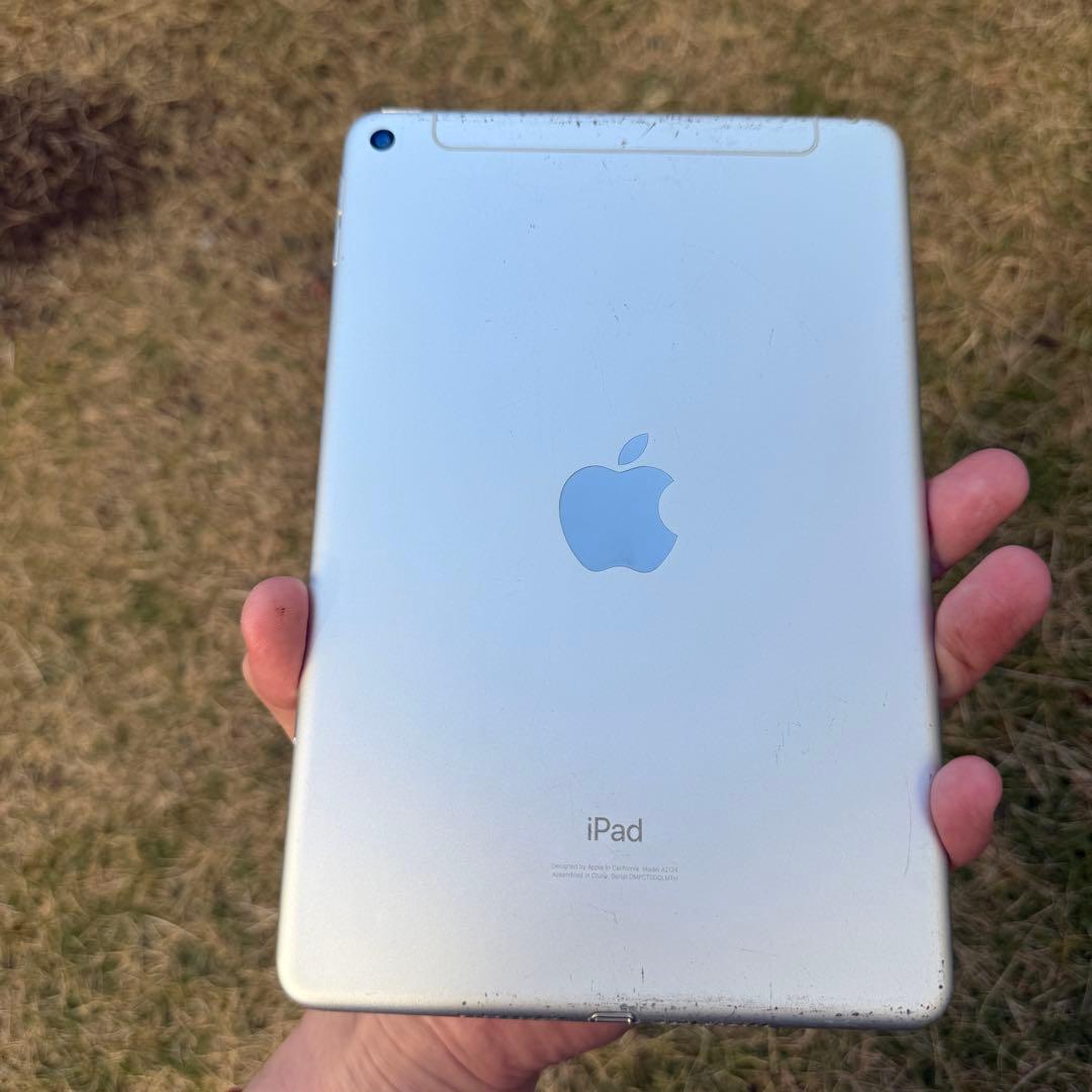 Apple iPad mini 5世代 Wi-Fi+Cellular 256GB