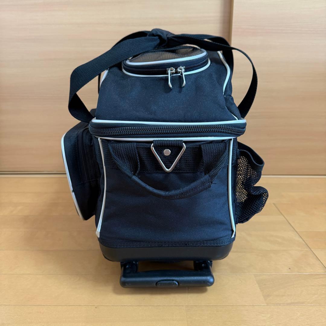 STORM ストーム ボウリング 2ボール キャリーバッグ 収納