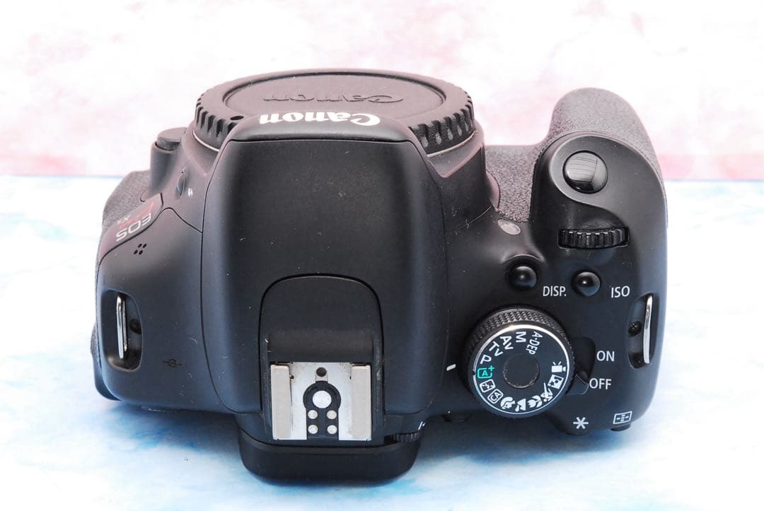 キャノン Kiss X5☆一眼レフカメラ☆カメラデビュー☆ブレずに簡単撮影