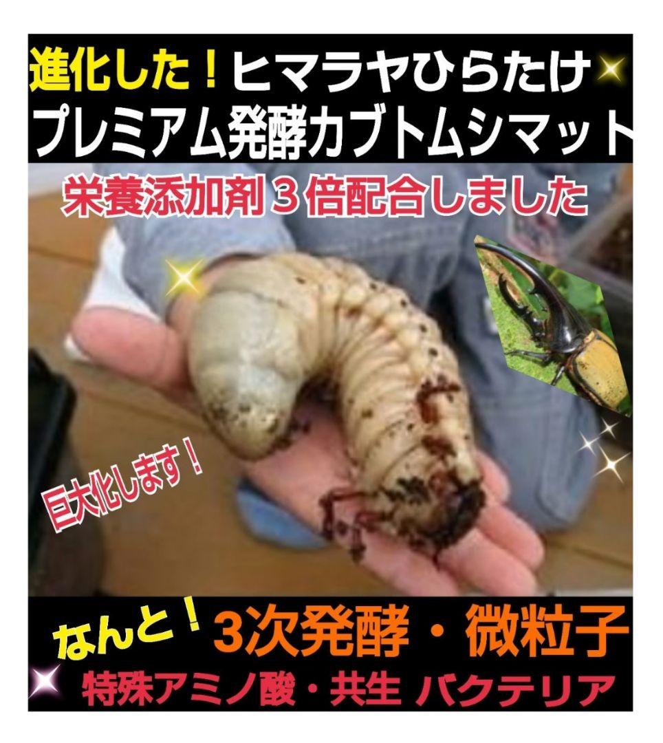 極上！プレミアム発酵ヘラクレスマット【200リットル】ギネスサイズ連発してます！