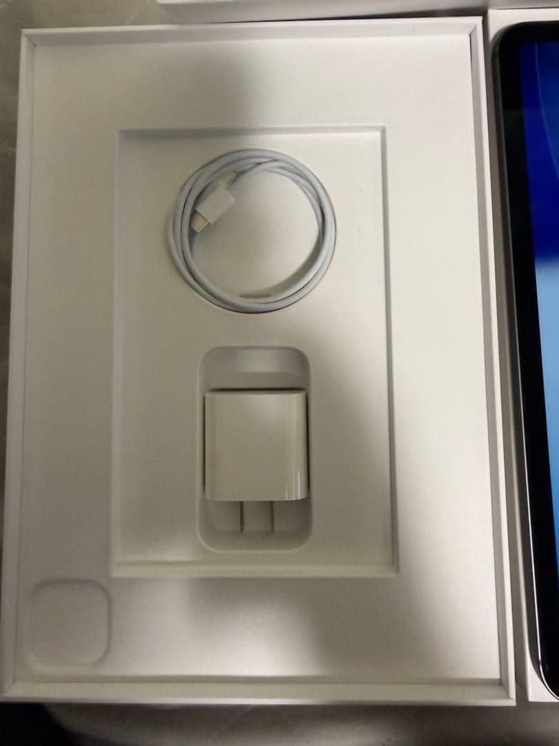 iPad pro 11インチ (第3世代) セルラーモデル　128GB