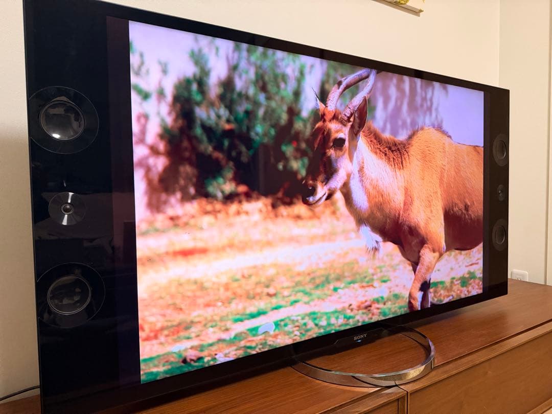 SONY BRAVIA ソニーブラビア4K対応　55型KD-55X9200A