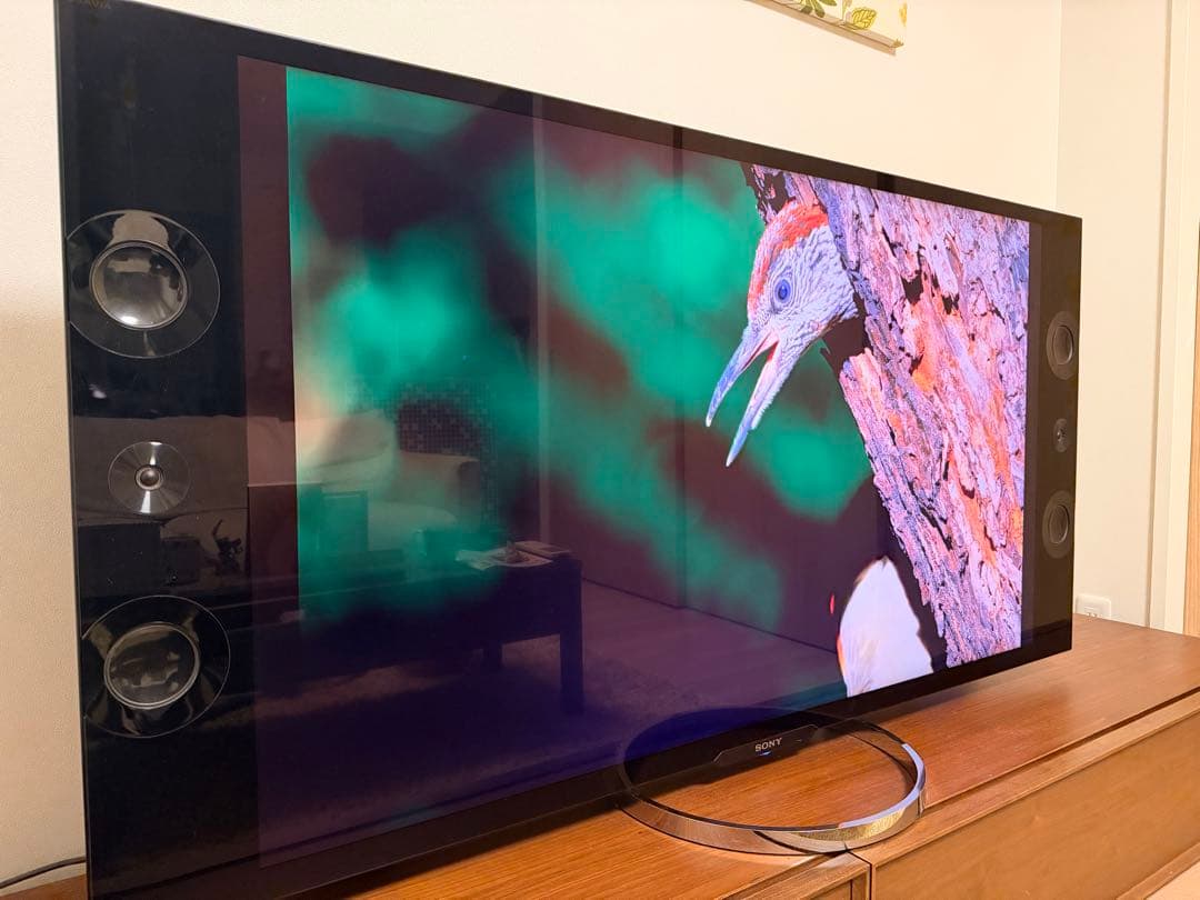 SONY BRAVIA ソニーブラビア4K対応　55型KD-55X9200A