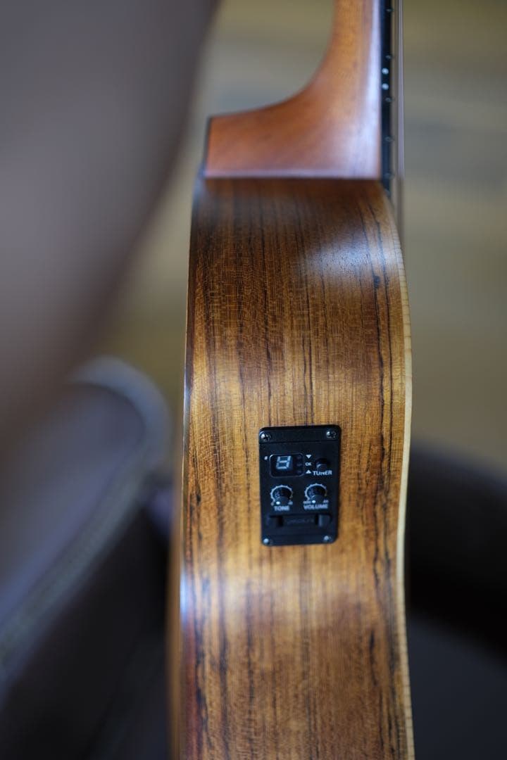 Taylor LTD GS Mini 限定モデル