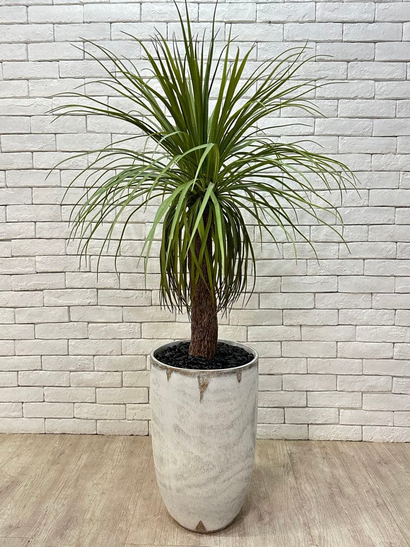 【東京23区配送無料】定価9万円　エミリオロバ　ユッカ　造花　観葉植物　高級　緑