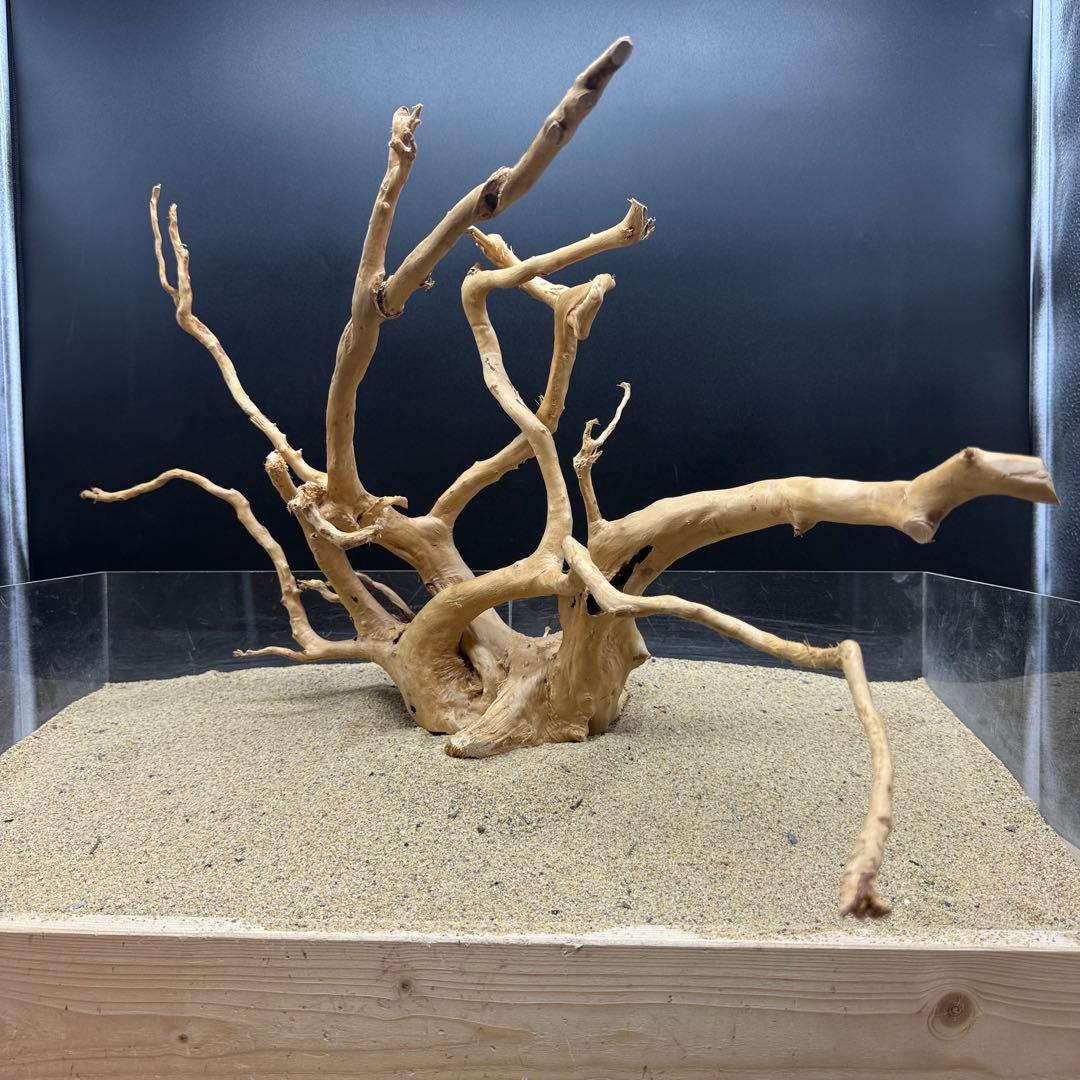 MDW-6991 特大ブランチウッド　流木　枝流木　アクアリウム