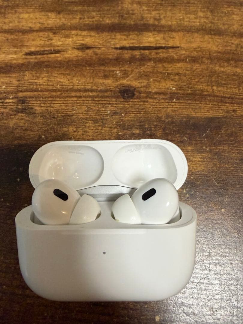 AirPods Pro（第2世代 Lightning端子モデル）