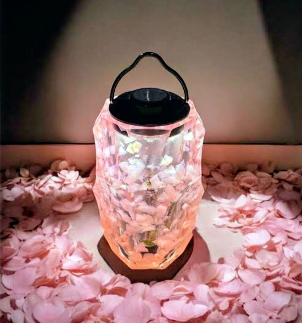 【新品未開封 / 超美品】