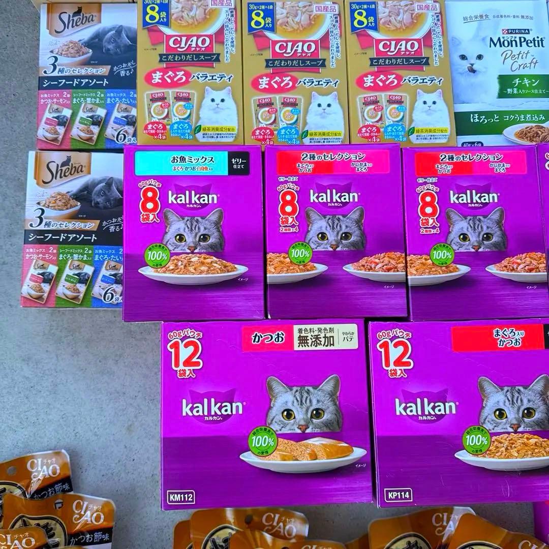 猫B 超激安！