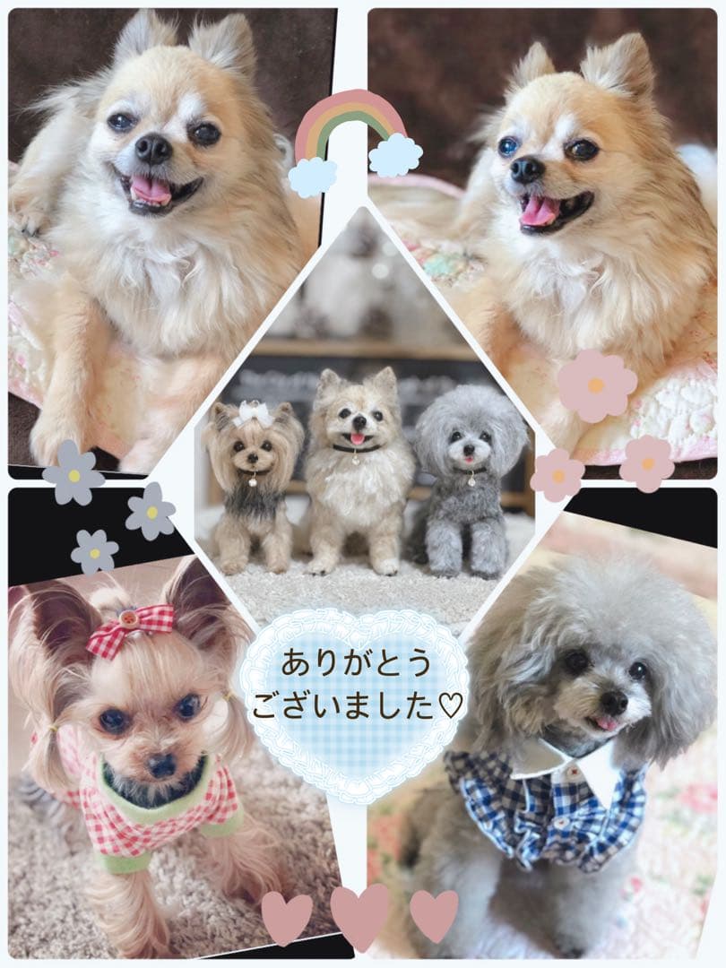 ハンドメイド 羊毛フェルト うちの子オーダー