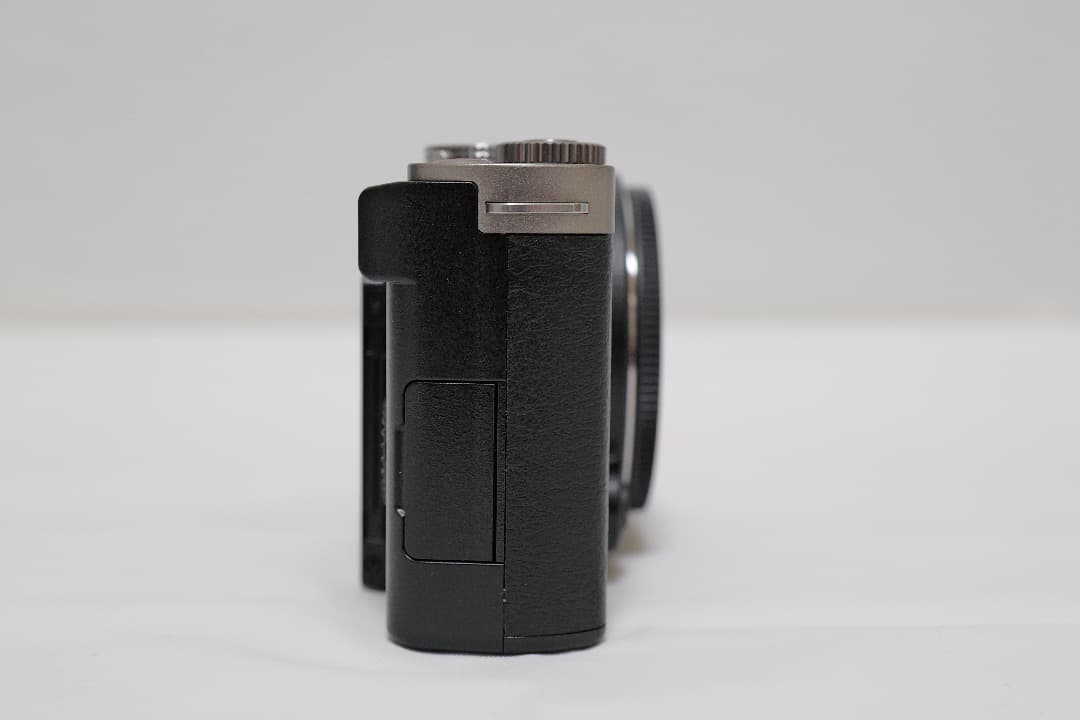 Panasonic LUMIX DC-S9-S ダークシルバー