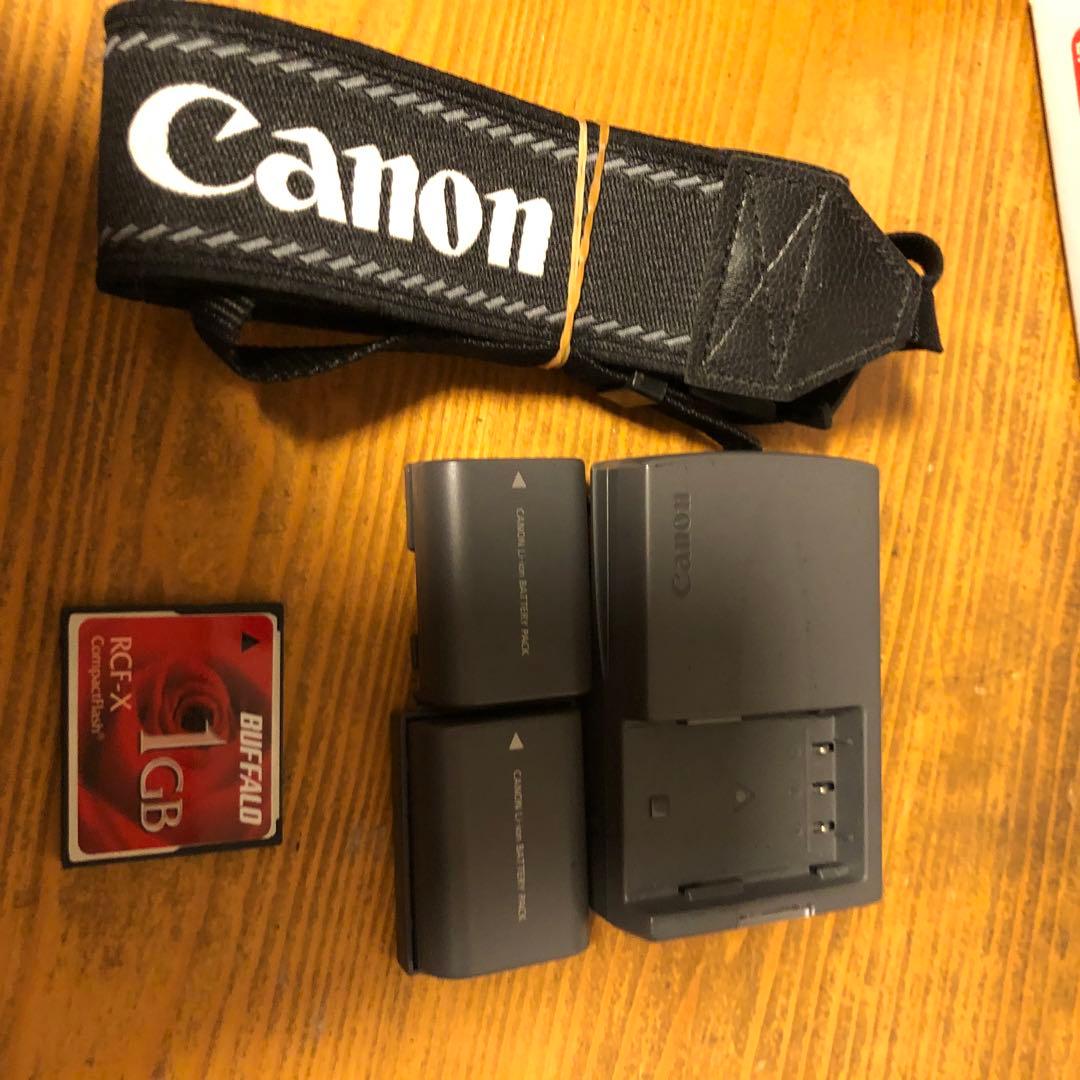 旅行や運動会の撮影にCanon EOS kiss Digital N フルセット