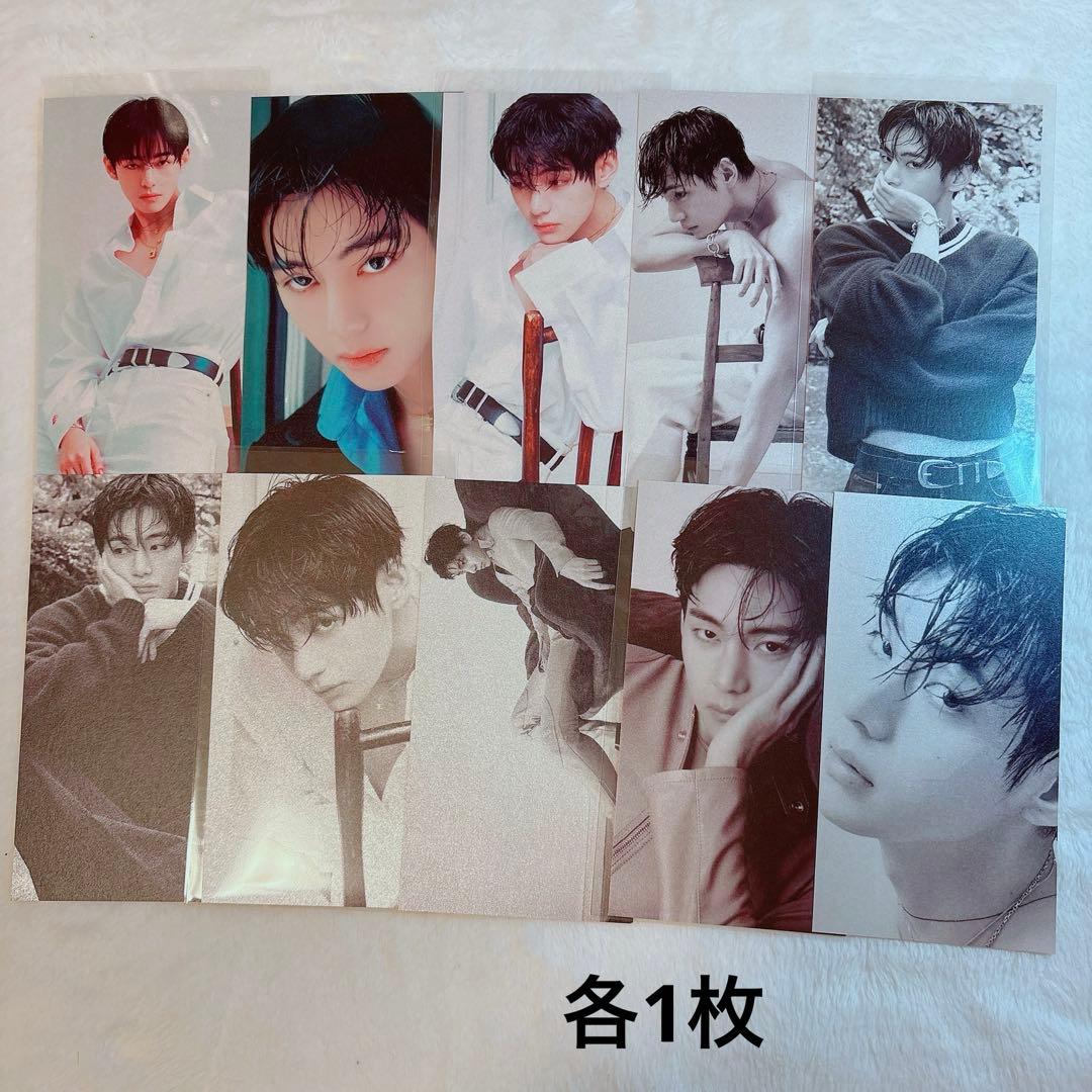 そうぴょん(๑・㉨・๑)