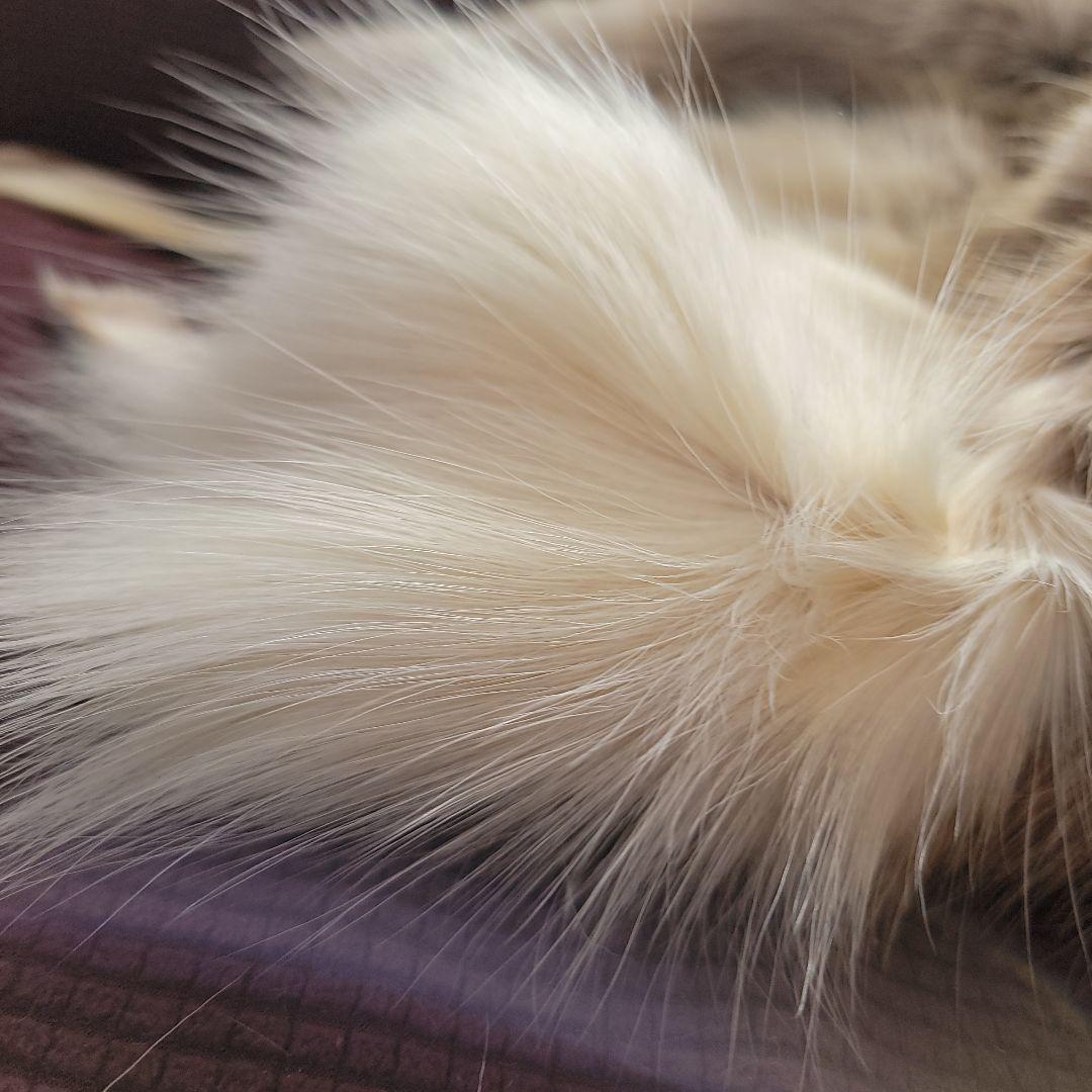 トナカイ毛皮　高級毛皮ラグ