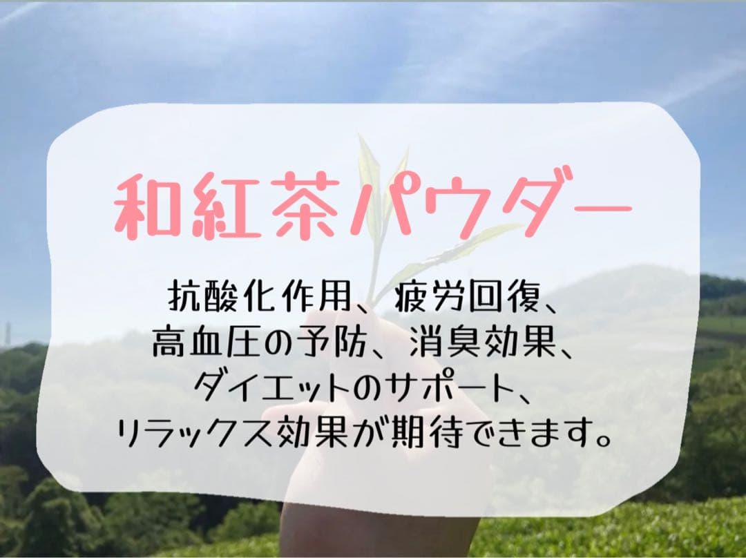 【お茶】日本の紅茶！便利な個包装スティック100本入り！溶かすだけ簡単パウダー