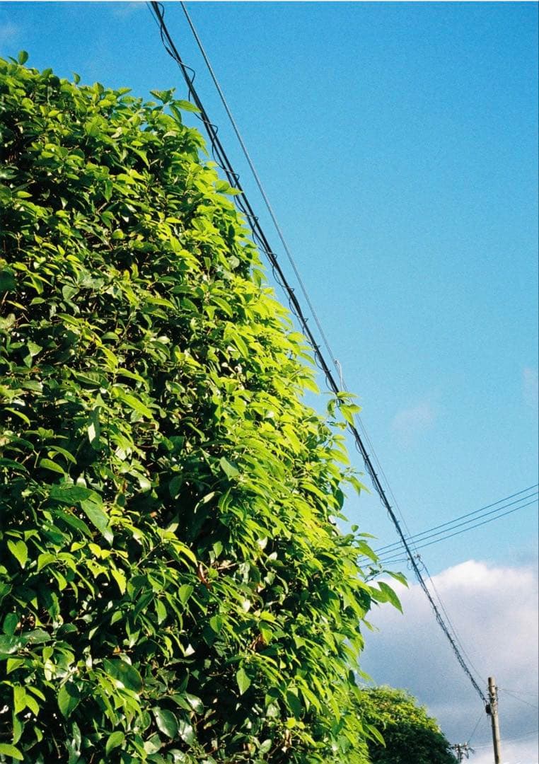 オートハーフ　SE ブラック　試写良好　メンテナンス完了