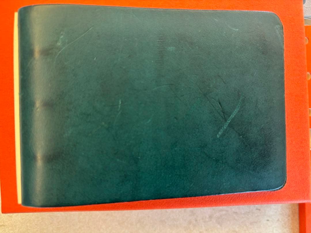 Plotterプロッター/限定リスシオ3穴リングバインダー/ブルー