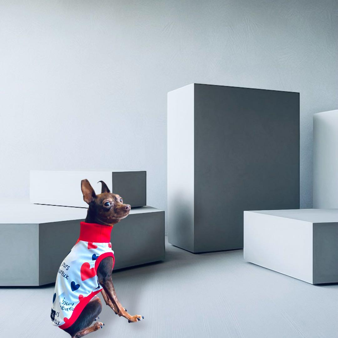 ⑰jours heureux original heart