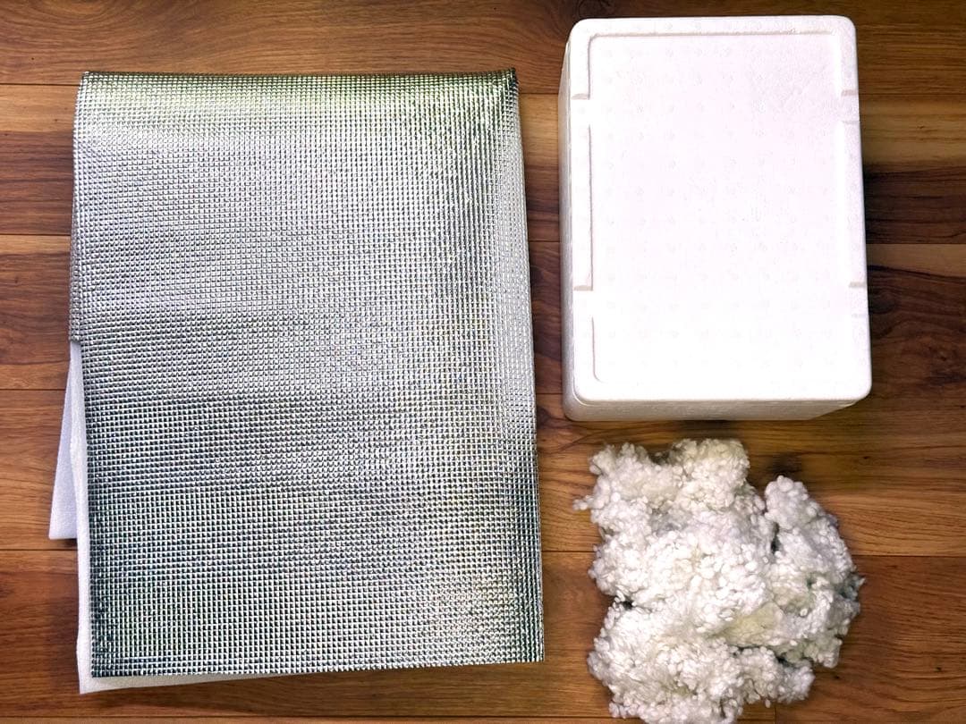 Anthurium Michelle x self　選抜個体