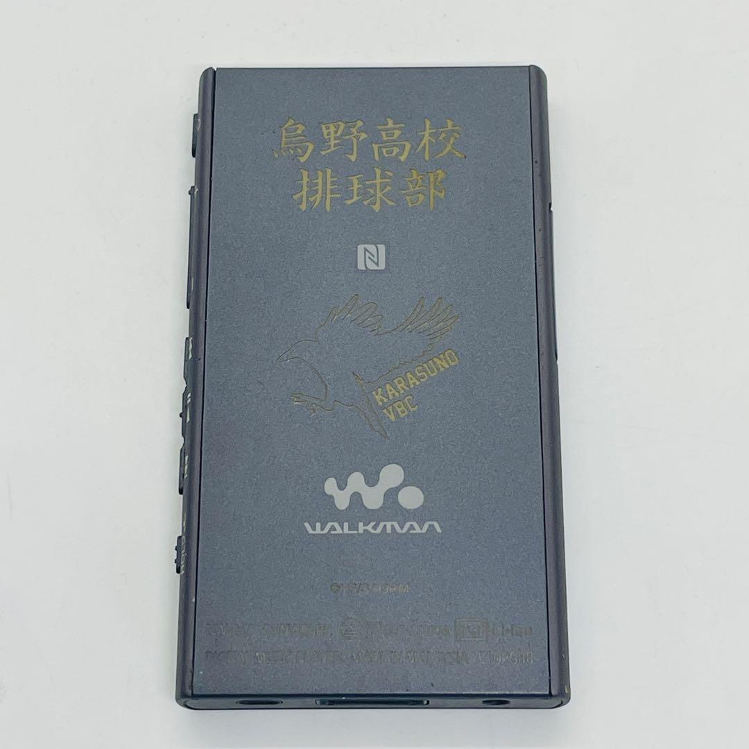 SONY WALKMAN NW-A45 「烏野高校モデル」