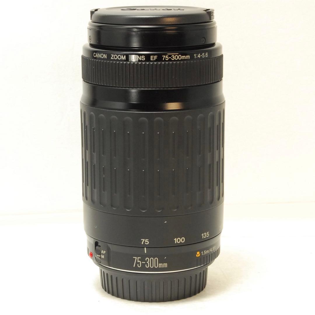 Canon EF 75-300mm 1:4-5.6 ❤️キヤノン 望遠レンズ
