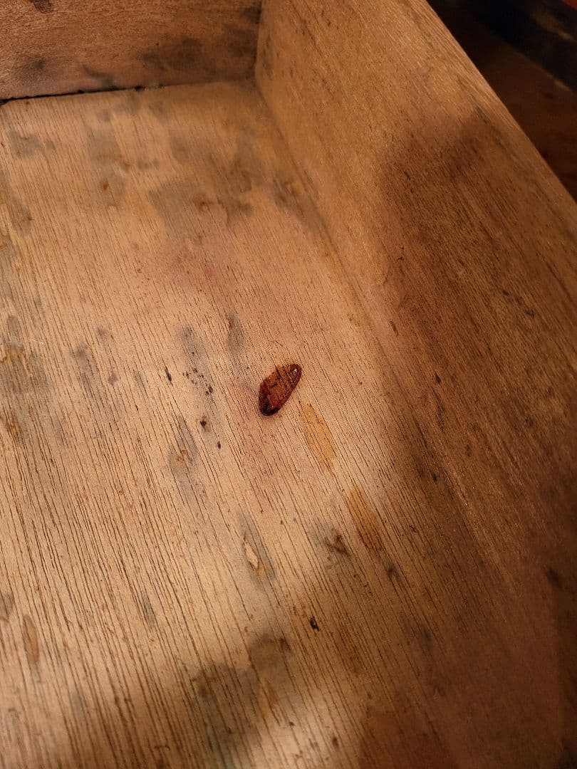 小引き出し　引き出し　6杯　レトロ　ヴィンテージ