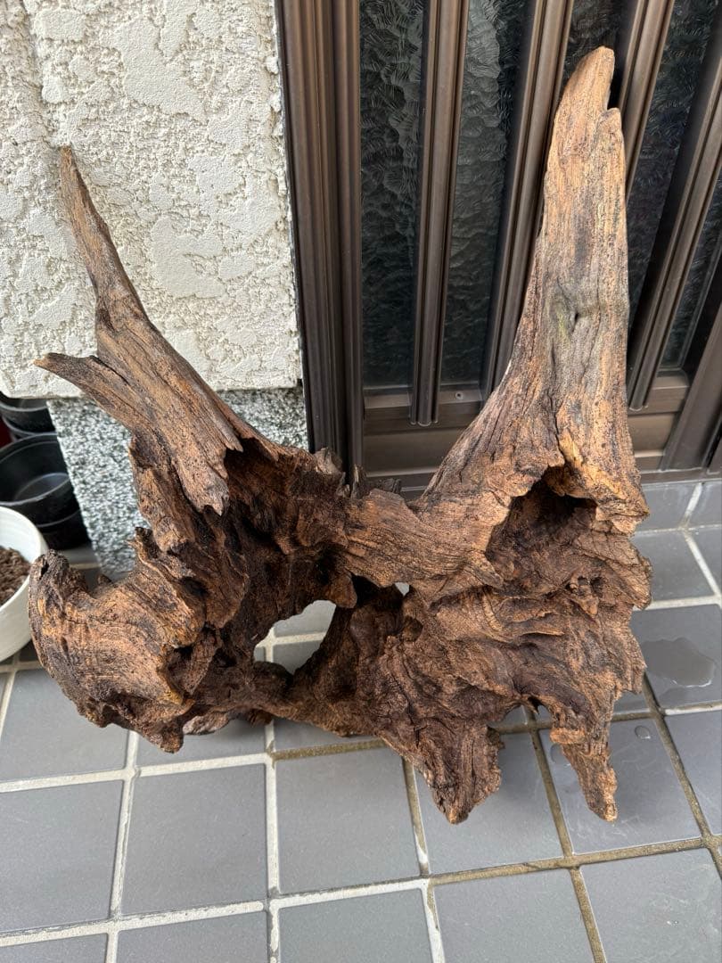 【値引交渉大歓迎】切り株 着生 ガーデニング 置物