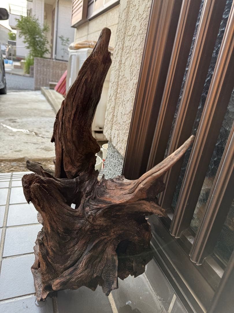 【値引交渉大歓迎】切り株 着生 ガーデニング 置物