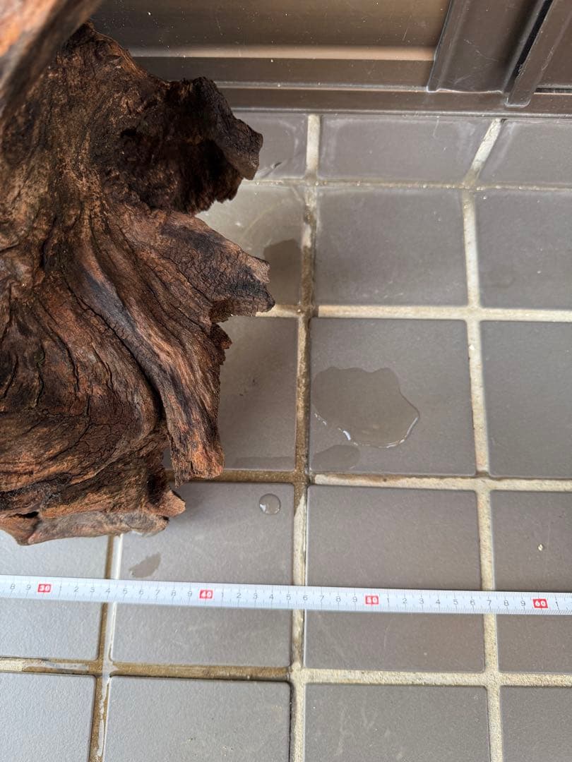 【値引交渉大歓迎】切り株 着生 ガーデニング 置物